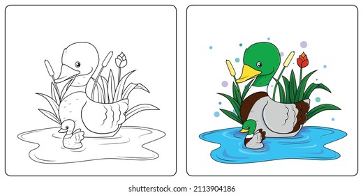 Hand drawn wild duck coloring pages premium vector best for learn coloring for kids
