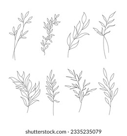 Hand drawn wild field flora, flowers, leaves, herbs, plants, branches. Minimal floral botanical line art.  Vector illustration for logo or tattoo, invitations, save the date card.
