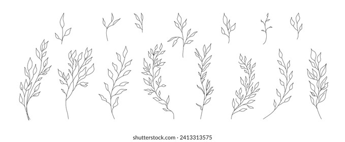 Hand drawn wild field flora, flowers, leaves, herbs, plants, branches. Minimal floral botanical line art. Vector illustration for logo or tattoo, invitations, save the date card