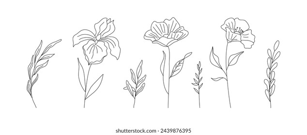 Hand drawn wild field flora, flowers, leaves, herbs, plants, branches. Minimal floral botanical line art. Vector illustration for logo or tattoo, invitations, save the date card.	