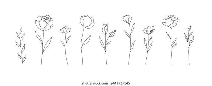 Handgezeichnete Wildfeldflora, Blumen, Blätter, Kräuter, Pflanzen, Äste. Minimale florale botanische Linienkunst. Vektor-Illustration für Logo oder Tattoo, Einladungen, speichern Sie die Datumskarte.	