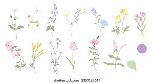 Arreglos florales silvestres dibujados a mano con flores pequeñas. Ilustración botánica estilo mínimo.