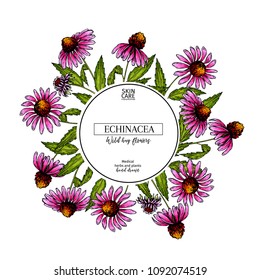 Hand drawn wild flowers. Echinacea pupurea flower. Medical herb. Vector colored engraved art. Round wreath composition. For cosmetics, medicine, treating, tea, nursing, package design health care.