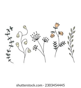 Hand drawn wild flowers illustrations set isolated on white background. Minimalist floral doodles, muted earthy colors.