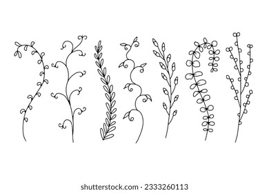 Hand drawn wild flowers illustrations set isolated on white background. Minimalist floral doodles.