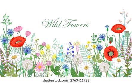 Hand drawn wild flowers with red poppies, white daisies, blue cornflowers, and other wild flowers on light background. Horizontal botanical background with copy space