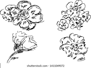 Hand drawn wild flowers set isolated on white background. Creative luxury fashion logotype concept icons. Hand Drawn vector illustration. Floral set. Outline collection