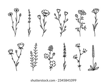 Hand drawn wild flowers set, lavender, branches, plants and herbs with leaves, flowers, field grass, decorative design elements