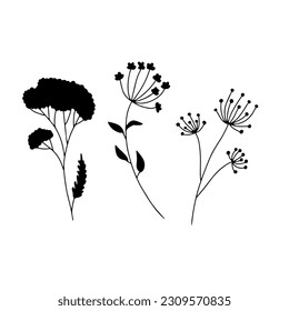 Hand drawn wild flowers silhouettes illustrations set isolated on white background. Minimalist floral doodles.