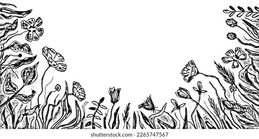 Hand drawn wild grass and flowers, black and white vector illustration