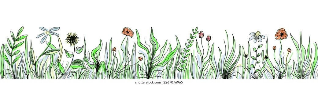 Hand drawn wild grass and flowers, bright spring meadow, vector illustration