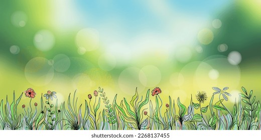 Hand drawn wild grass and flowers against the blue sky, bright spring meadow, vector illustration