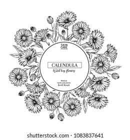 Hand drawn wild hay flowers. Calendula flower. Medical herb. Vintage engraved art. Round composition. Good for cosmetics, medicine, treating, aromatherapy, nursing, package design, health care.