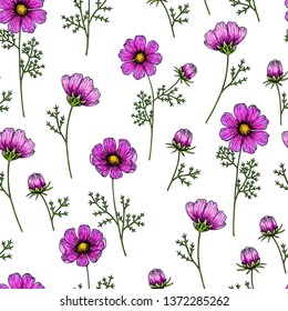 Hand drawn wild hay flowers. Vector cosmos flower. Medical herb. Vintage engraved art. Seamless pattern. Good for cosmetics, medicine, treating, aromatherapy, nursing, package design healthcare,