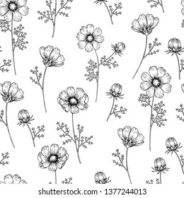Hand drawn wild hay flowers. Vector cosmos flower. Medical herb. Vintage engraved art. Seamless pattern. Good for cosmetics, medicine, treating, aromatherapy, nursing, package design healthcare.