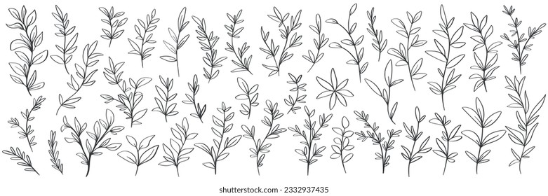 Hierbas silvestres extraídas a mano son un gran conjunto. Hoja rústica de césped, ramitas y colección de boceto de verdor floral. Decoración natural botánica, ilustración vectorial aislada