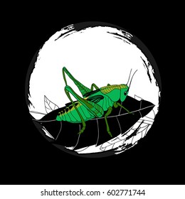Hand drawn wild insect round composition with green grasshopper sitting on leaf vector illustration