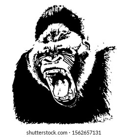 
Hand drawn wild monkey. Vector. Isolated on a transparent background