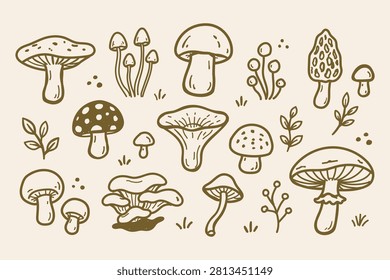 Hand Drawn Wild Mushroom Doodle Vector Set, Forest Fungi Collection with Toadstools, Morel, Button, Oyster and Woodland Botanical Elements, Cute Nature Sketch Illustration