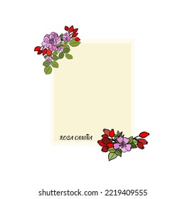 Hand drawn wild rose branch, leaf, flower and berry.