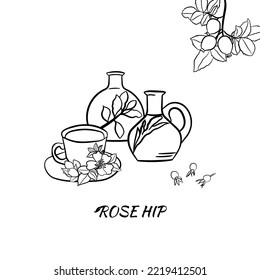 Hand drawn wild rose branch, leaf, flower and berry.