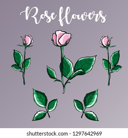 A Hand drawn wild roses and leaves design isolated objects