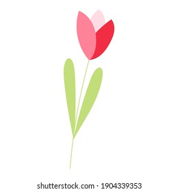 Hand drawn wild spring flower tulip isolated vector