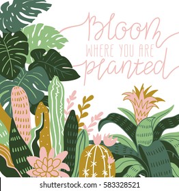 Hand drawn wild tropical house plants. Scandinavian style illustration, home decor. Vector print design with terrarium and lettering - 'bloom where you are planted'.