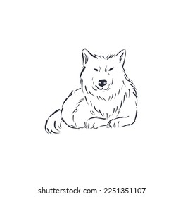 Esbozo de la línea vectorial del lobo salvaje dibujado a mano.