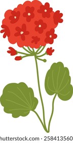 Hand Drawn Wildflower Branch Vector Illustration