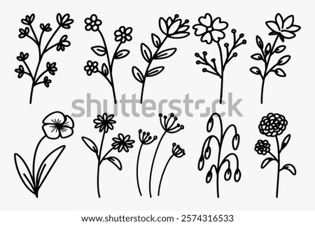 hand drawn of wildflower doodle