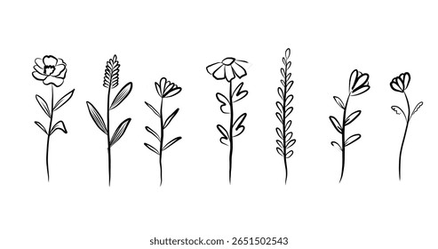 Elementos de flores silvestres desenhados à mão em estilo de arte de linha preta apresentando formas florais simples em fundo branco