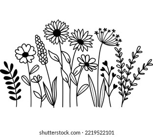 Hand drawn wildflower meadow Style vector illustration, Flower and leaf herbs isolated on white Background, Invitation, Wedding card, Greeting card, Posster.