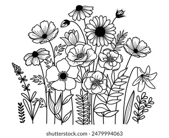 Hand drawn wildflower meadow Style vector illustration, Flower and leaf herbs isolated on white Background, Flowers Outline Illustration, Invitation, Wedding card, Greeting card.