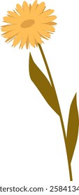 Hand Drawn Wildflower On Stem Vector Illustration