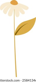 Hand Drawn Wildflower On Stem Vector Illustration