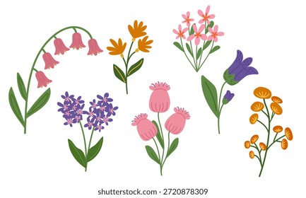 Handgezeichnetes Wildblumenset im flachen Stil. Nette Blumenkollektion für das Frühlingsdesign. Bunte Sommerblüten für Hochzeitseinladungen, Grußkarten und Muster.
