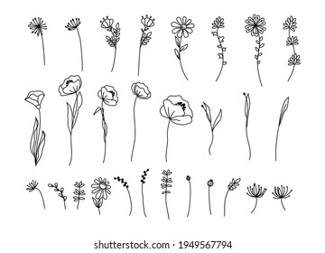 Hand drawn wildflowers. Black and white doodle wild flowers and grass plants. Monochrome floral elements.