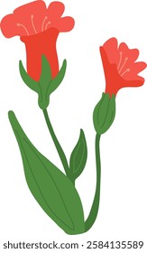 Hand Drawn Wildflowers Branch Vector Illustration