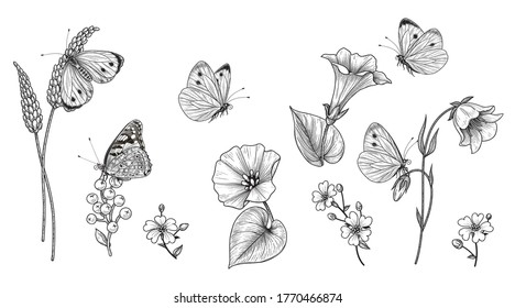 Hand drawn wildflowers and butterflies isolated on blank background. Black and white different floral elements and meadow insects. Vector monochrome elegant flowers set in vintage style.