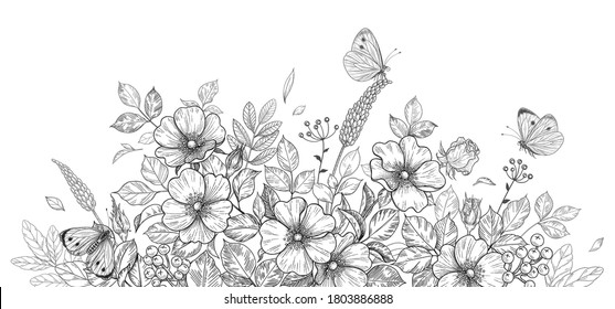 Hand drawn wildflowers, dog-rose and butterflies on blank background. Black and white flowers and insects. Vector monochrome elegant floral composition in vintage style, template wedding decoration.