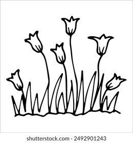 hand drawn wildflowers flower bed, monochrome, black and white