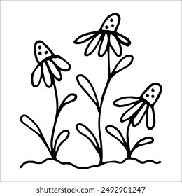 hand drawn wildflowers flower bed, monochrome, black and white