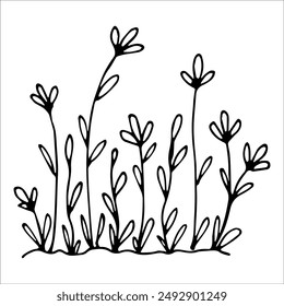 hand drawn wildflowers flower bed, monochrome, black and white