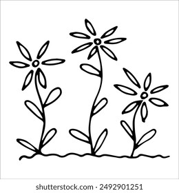 hand drawn wildflowers flower bed, monochrome, black and white