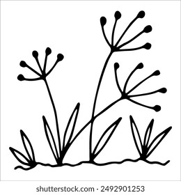 hand drawn wildflowers flower bed, monochrome, black and white