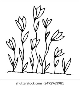 hand drawn wildflowers flower bed, monochrome, black and white