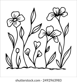 hand drawn wildflowers flower bed, monochrome, black and white