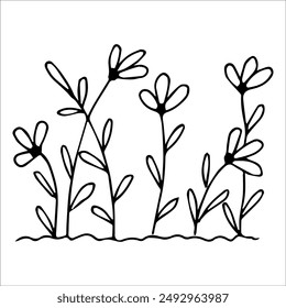 hand drawn wildflowers flower bed, monochrome, black and white