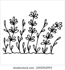 hand drawn wildflowers flower bed, monochrome, black and white